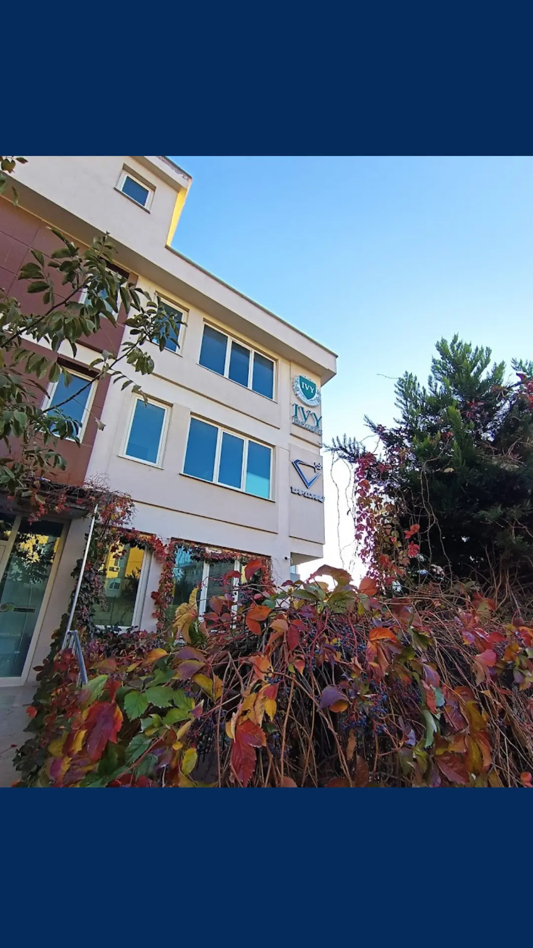 Yurtdışı Eğitim Kurumları